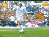 ticnic de zidan