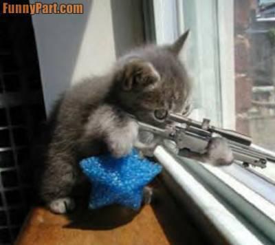 chasseur