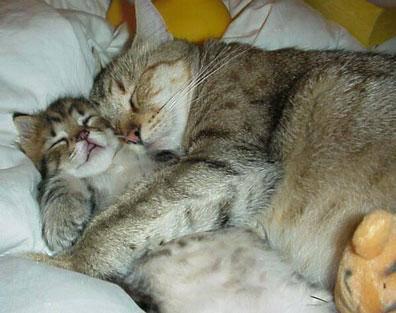 2 chat